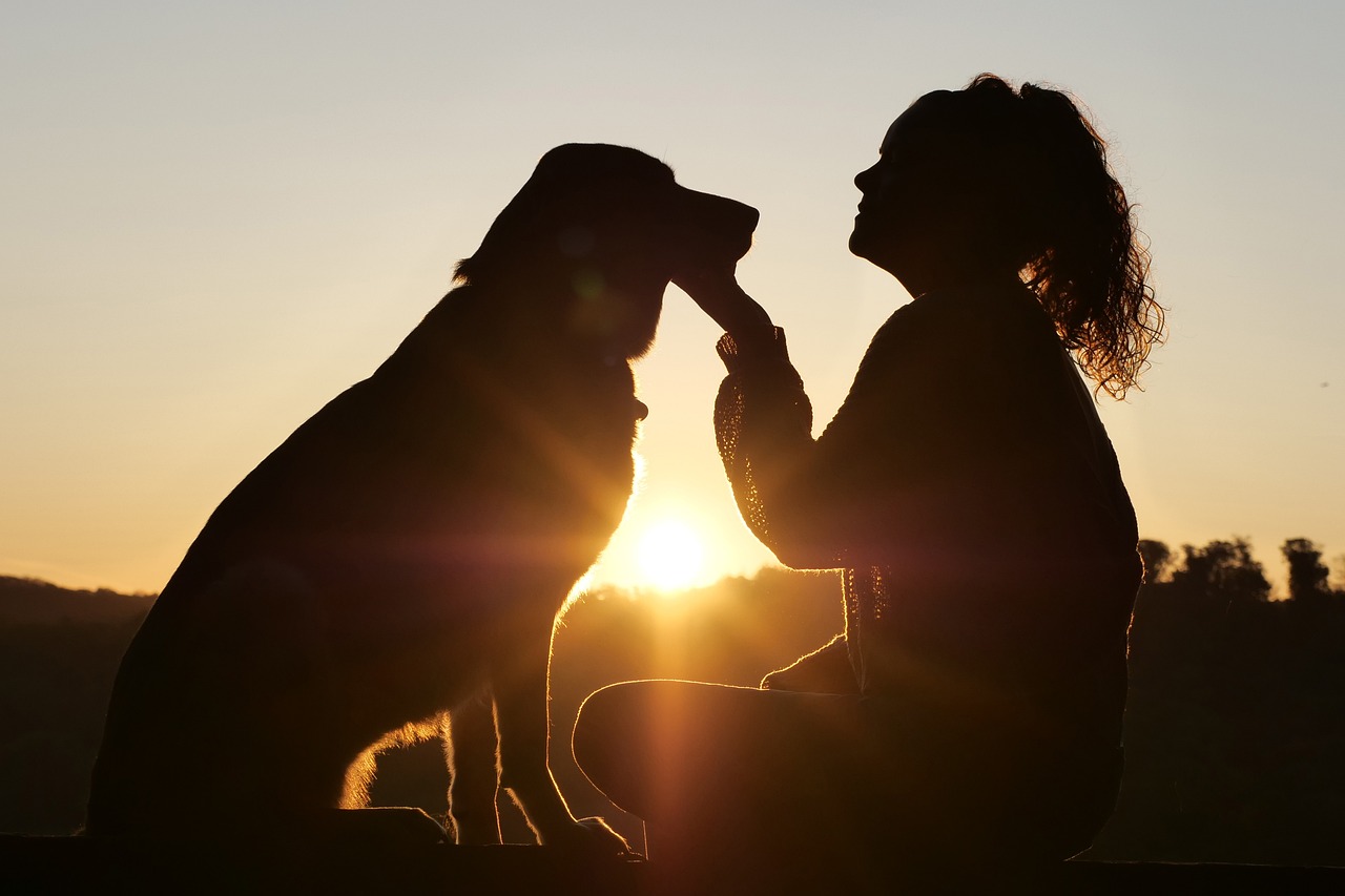 Pet Care – There’s No Other Job Quite Like It